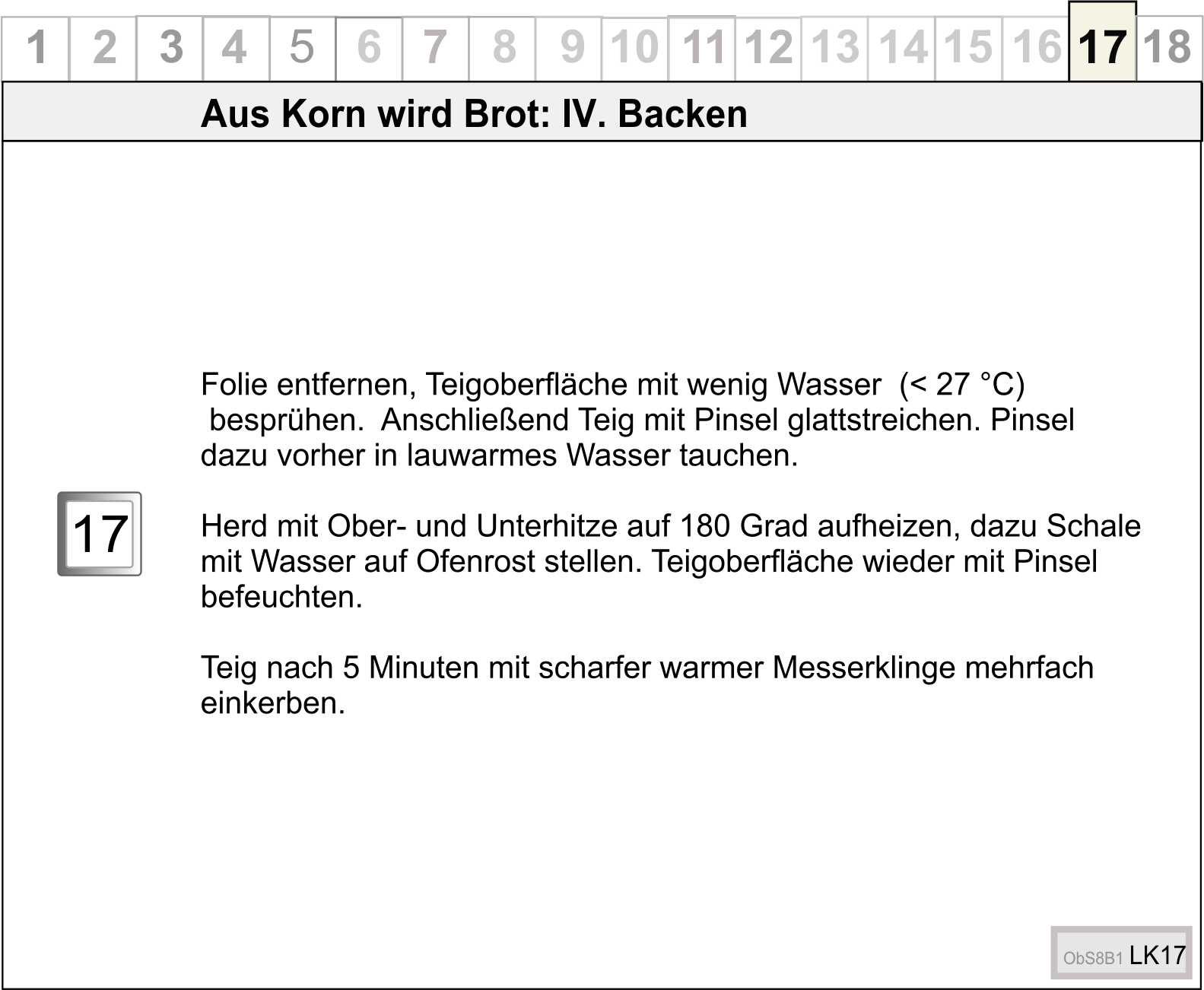 ObS8B1LK17neu