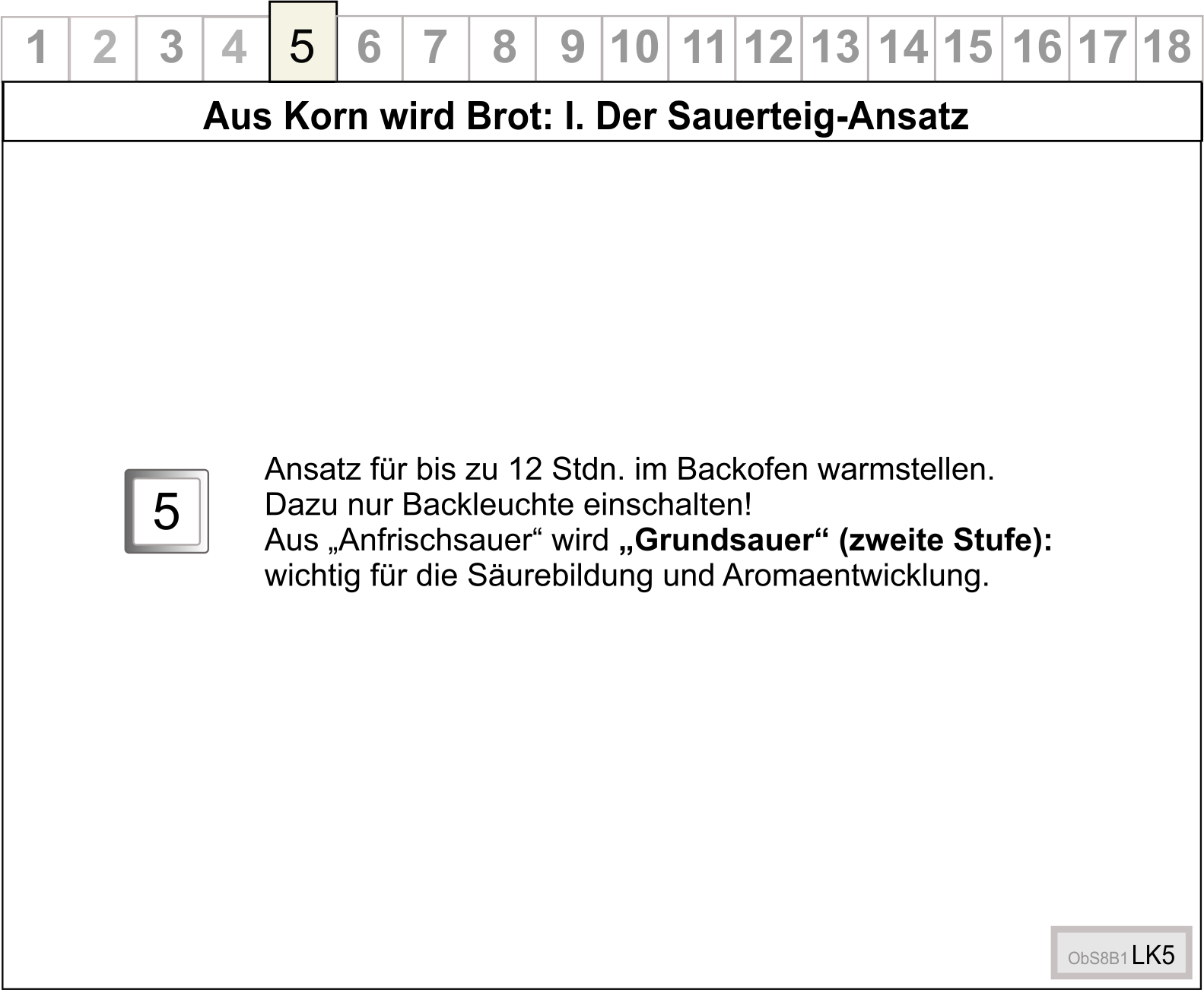 ObS8B1LK5neu
