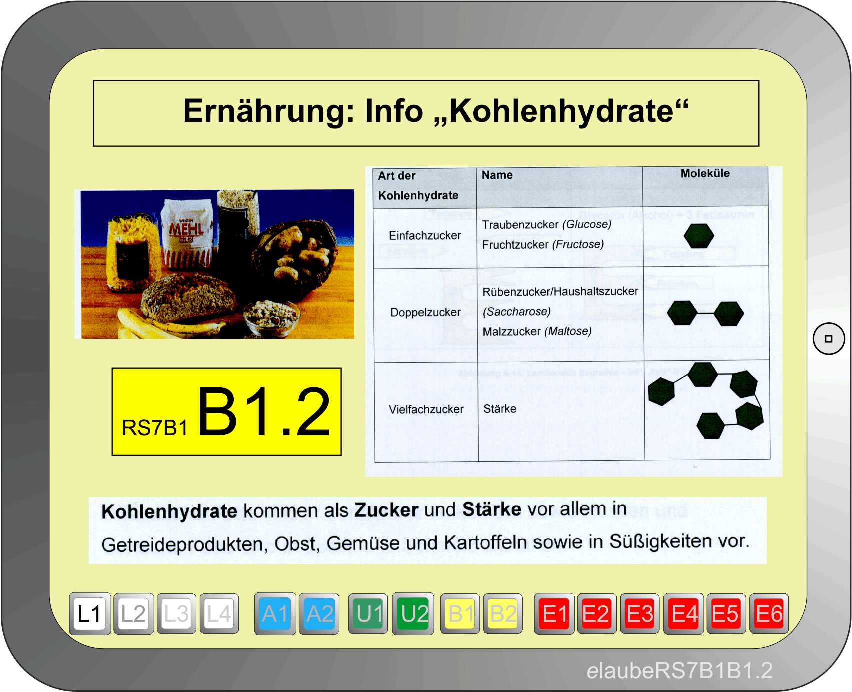 elaubers7b1.2inf 