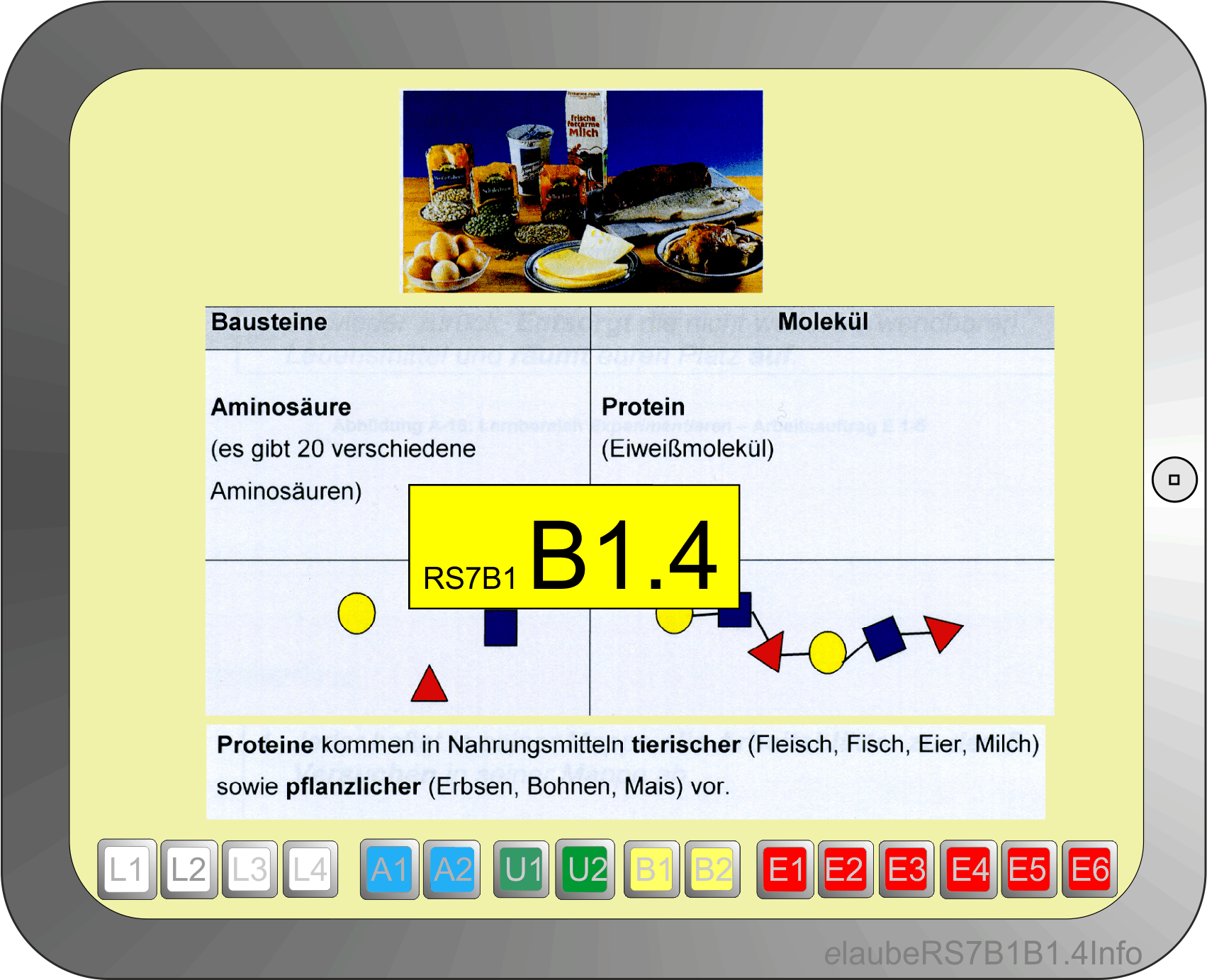 elaubers7b1b1.4info