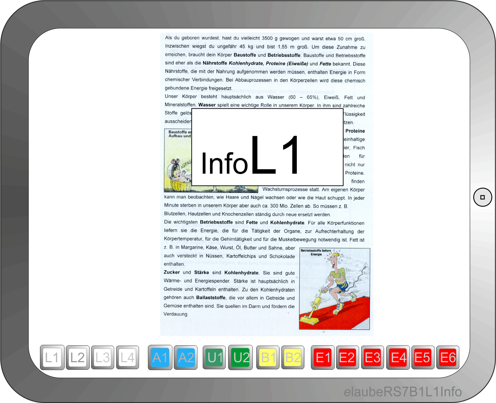 elaubers7b1l1.1info